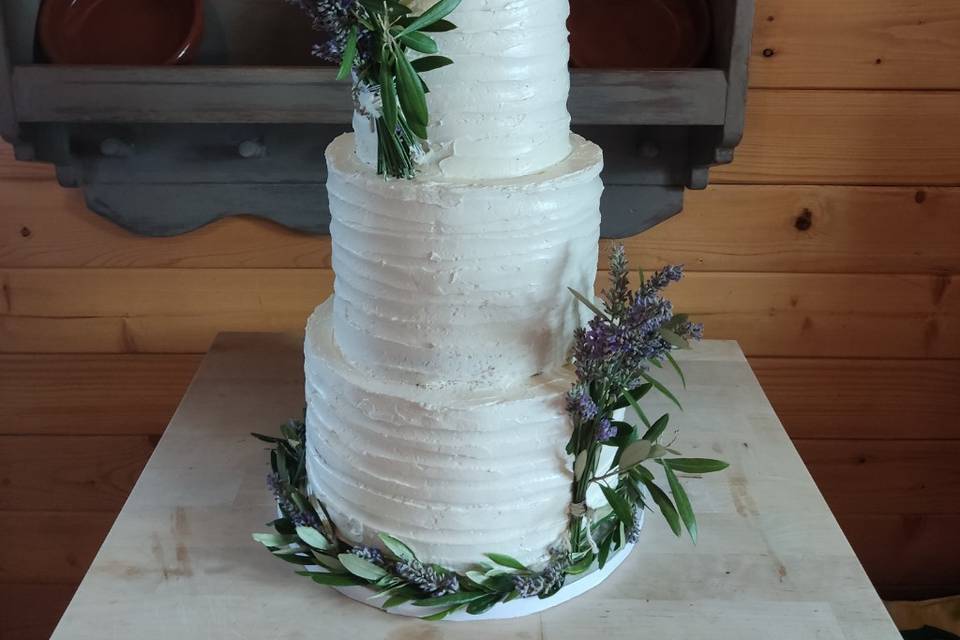 Tarta de boda de Miguel y Móni