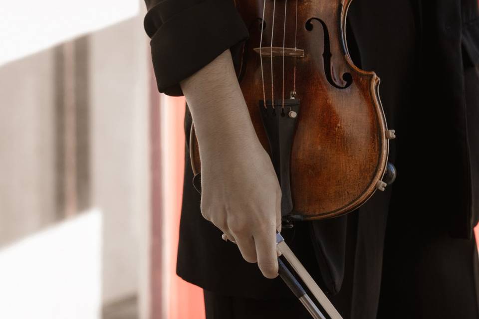 Violín