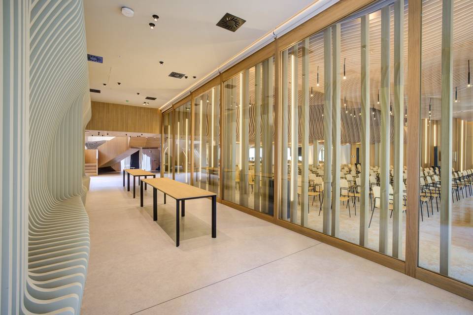 Acceso Sala Magna