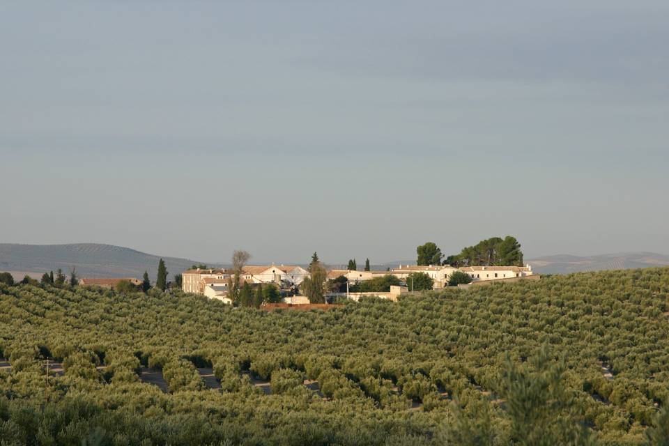 Cortijo El Madroño