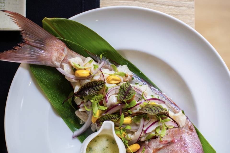 Ceviche