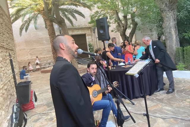 Bodas