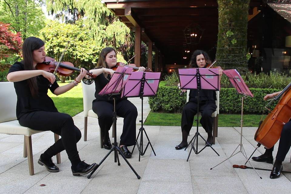 Cuarteto scordatura