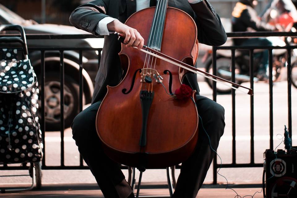 Cello boda productora Ear