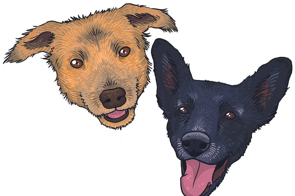 Retrato de mascotas