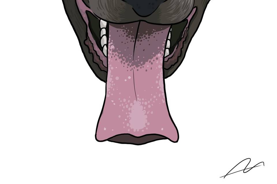 Retrato de mascotas