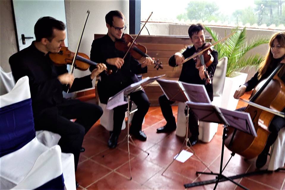 Quartet Gaudi