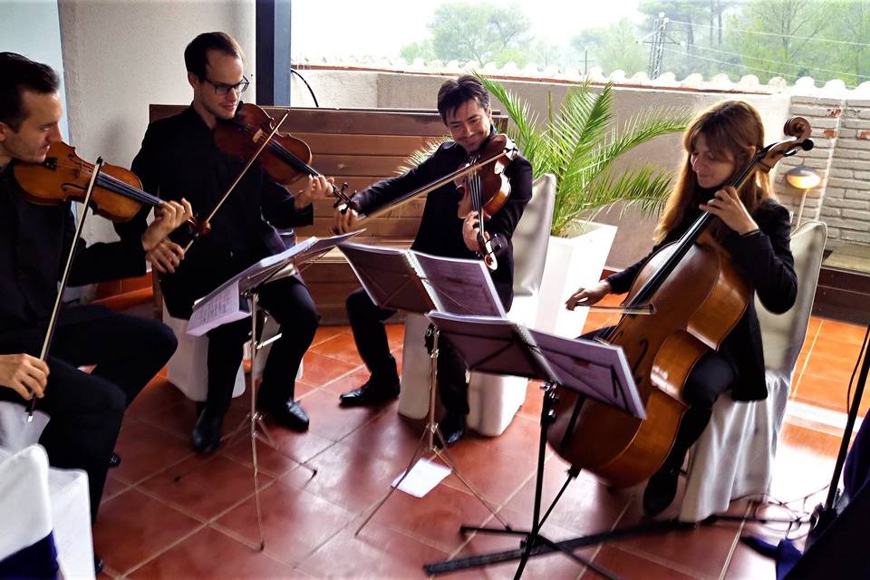 Quartet Gaudi