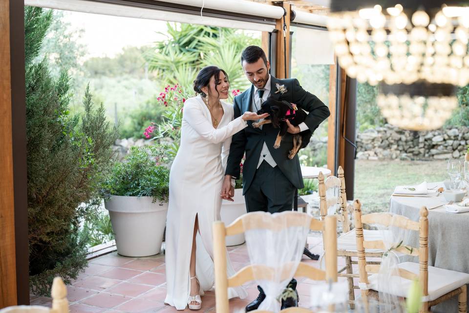 Día de Boda