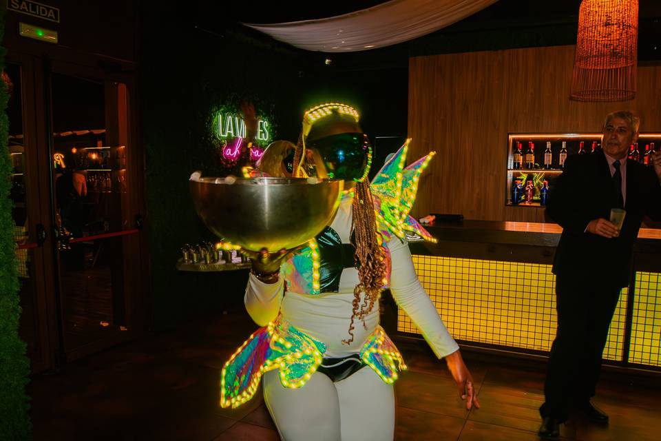 Ledmannia Events