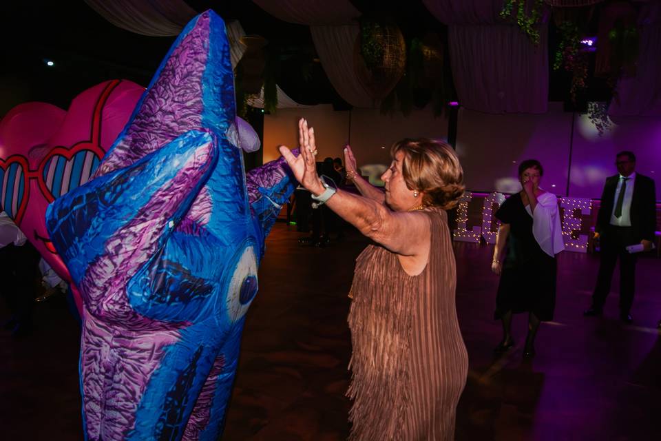 Ledmannia Events