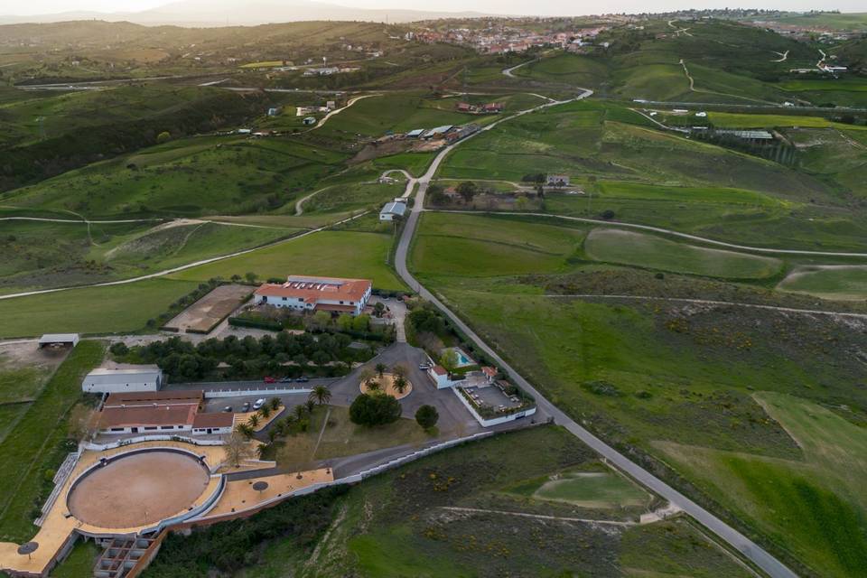 Aérea