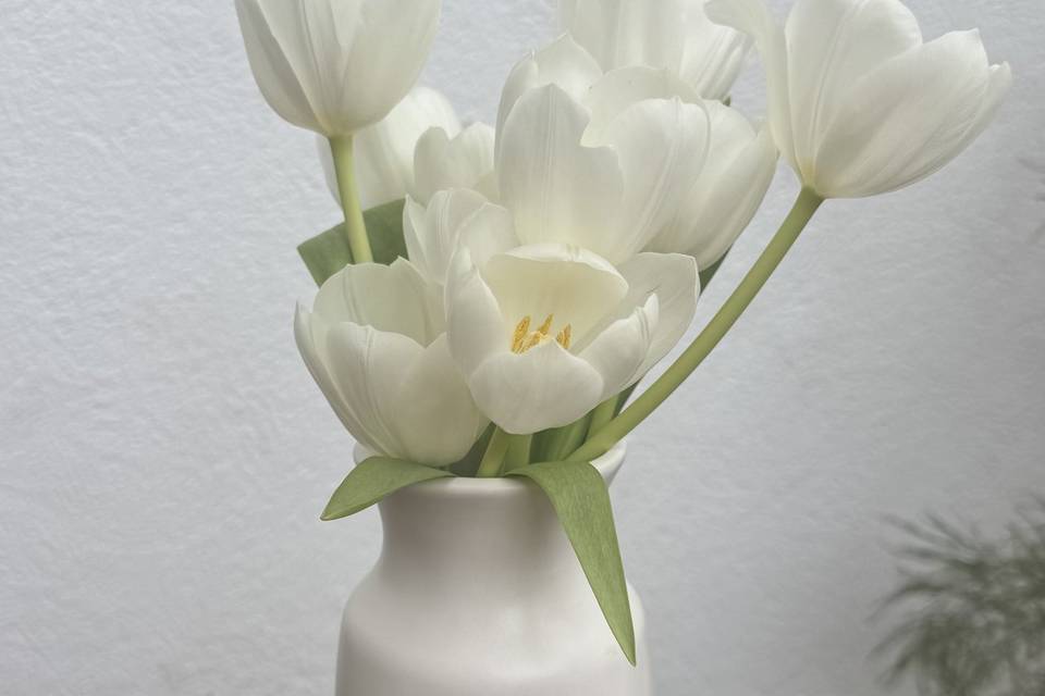 Tulipanes