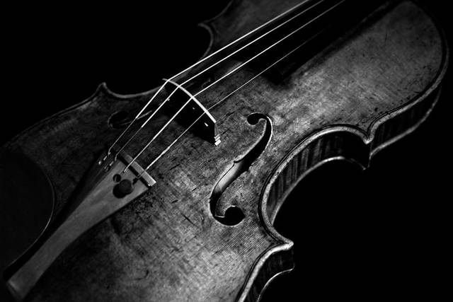 Violín