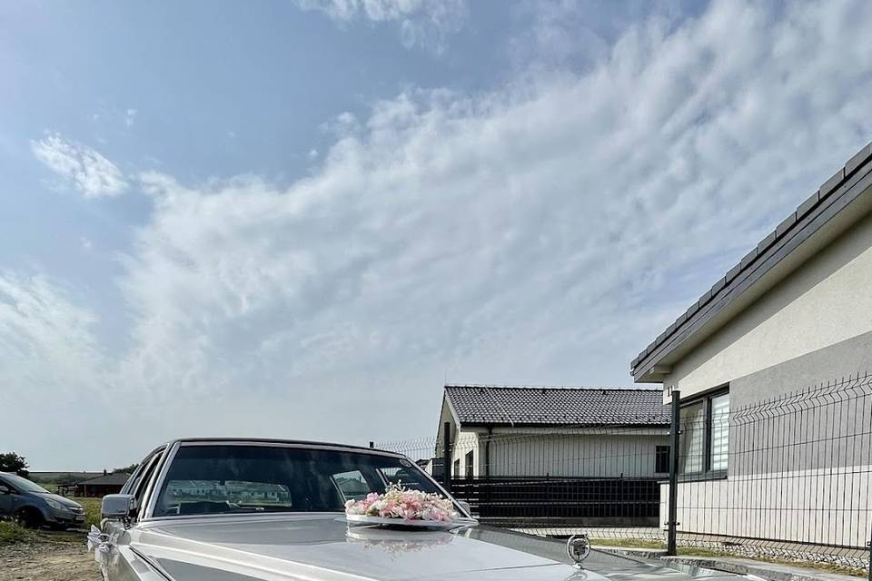 Cadillac Fleetwood