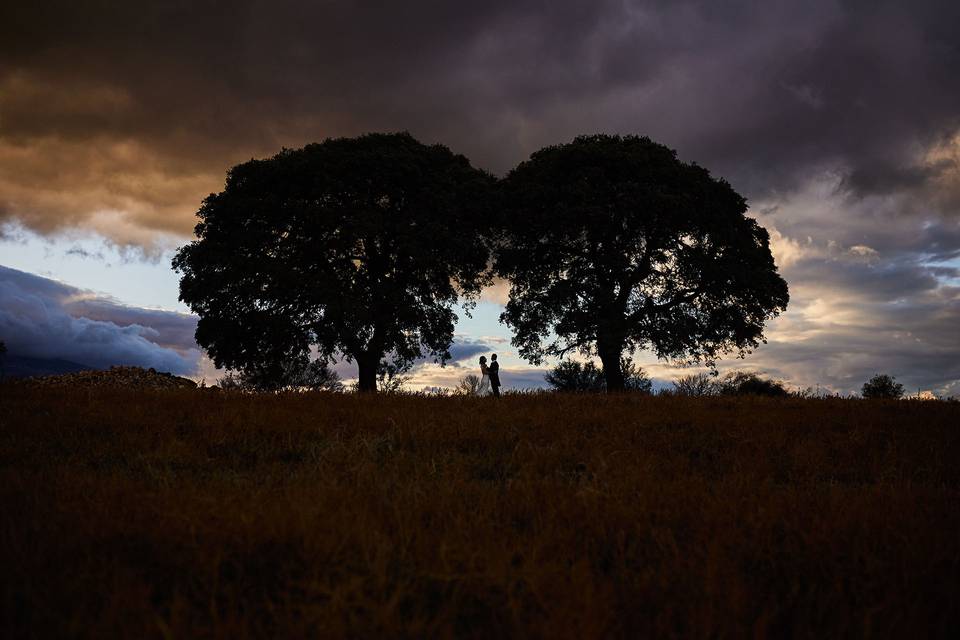 Fotografía Creativa