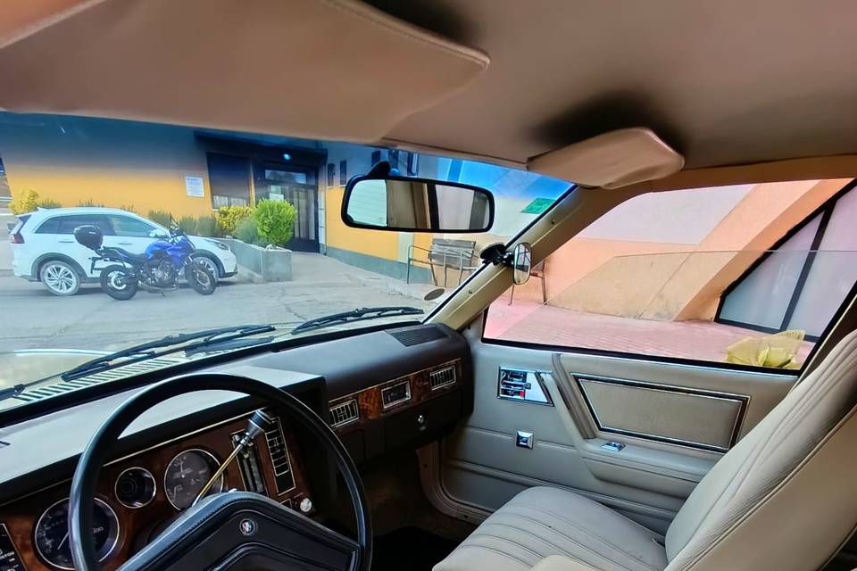 Interior Skylark