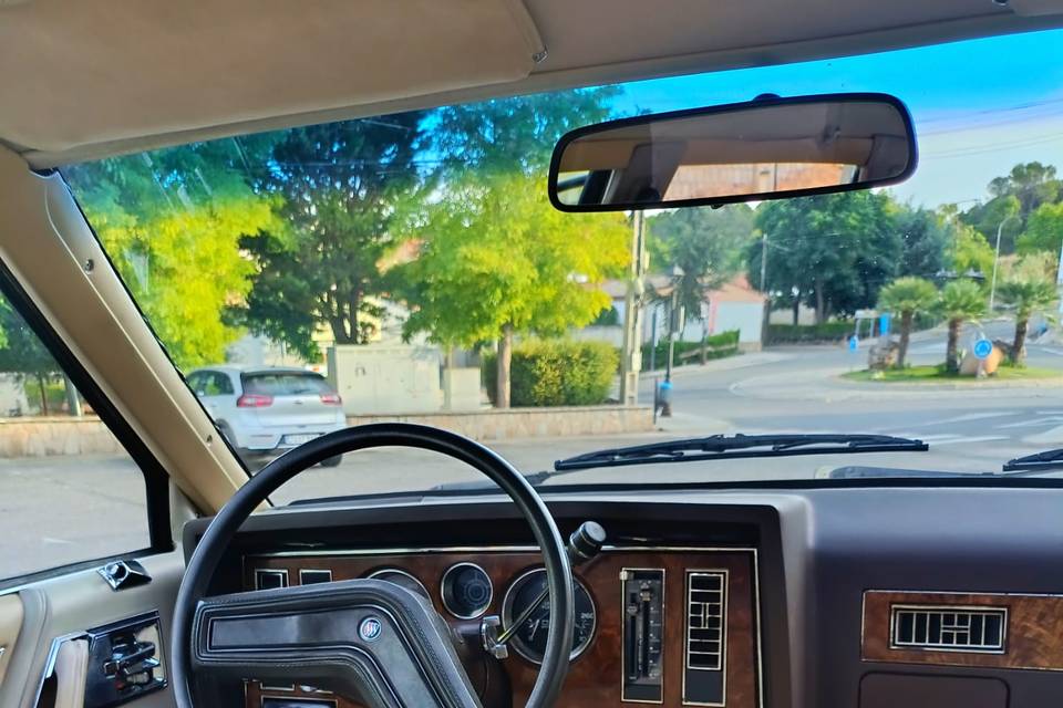 Interior Skylark