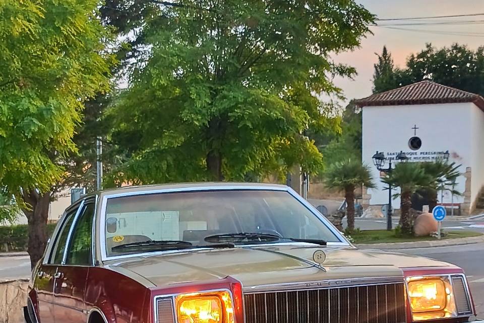 Buick skylark