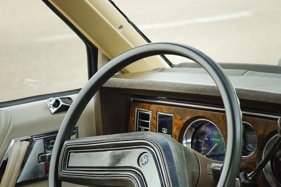 Interior skylark