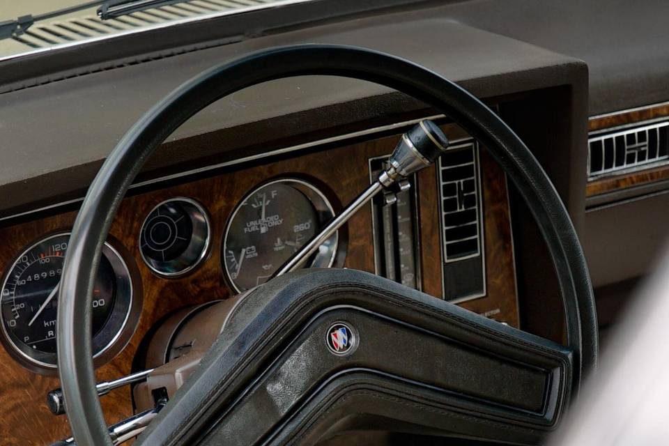 Interior skylark 2