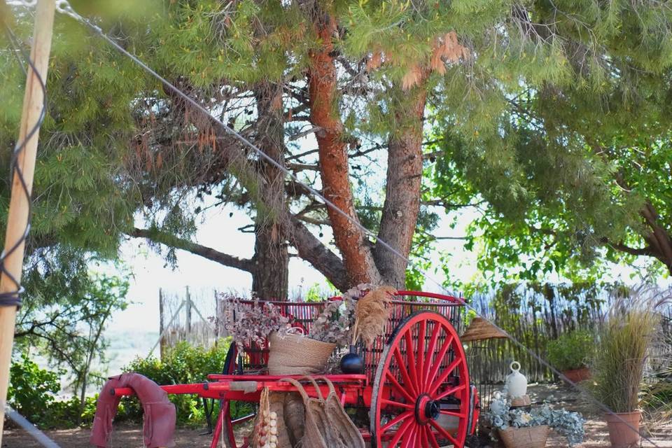 Finca Flora
