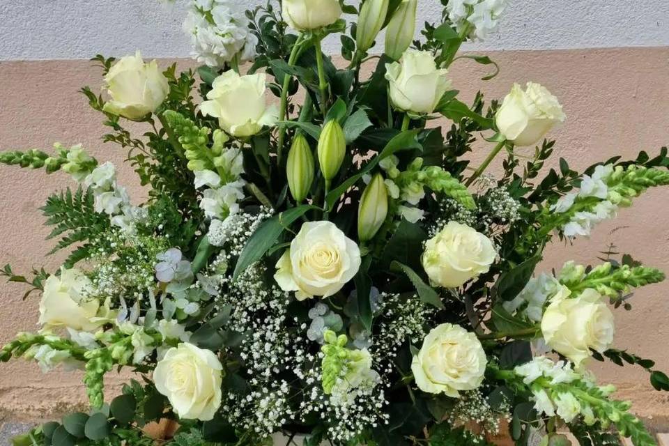Creaciones especiales