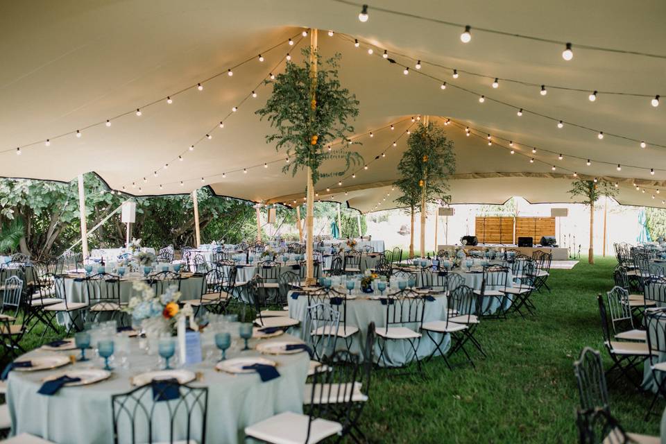 Carpa Boda