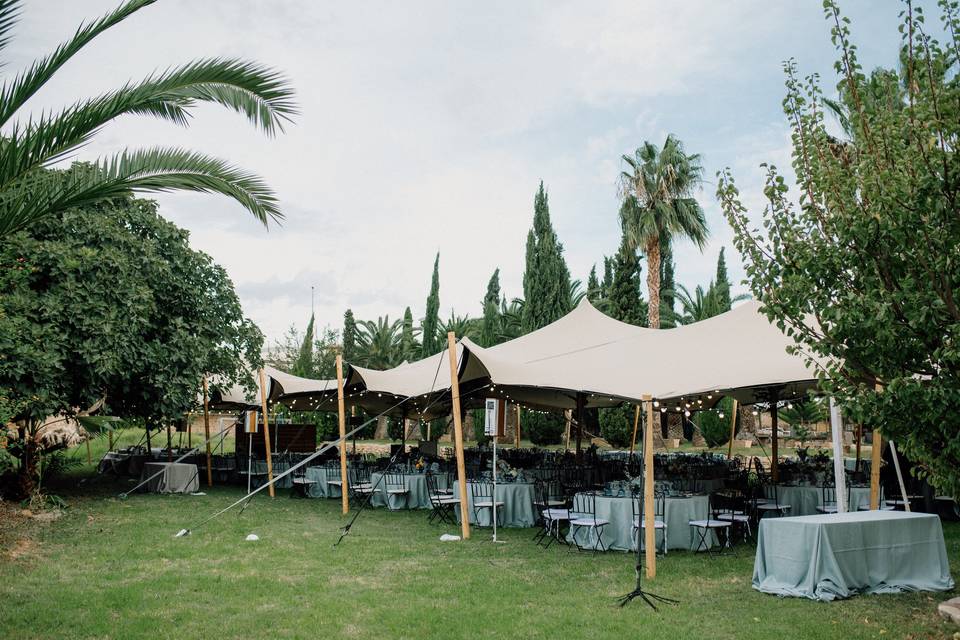 Carpa + azul