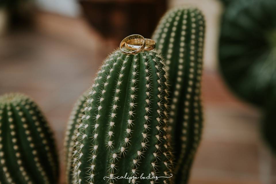 Boda de Lorena y Jose Luís