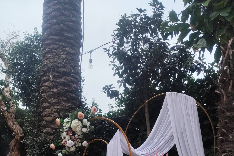 Telas y rosas