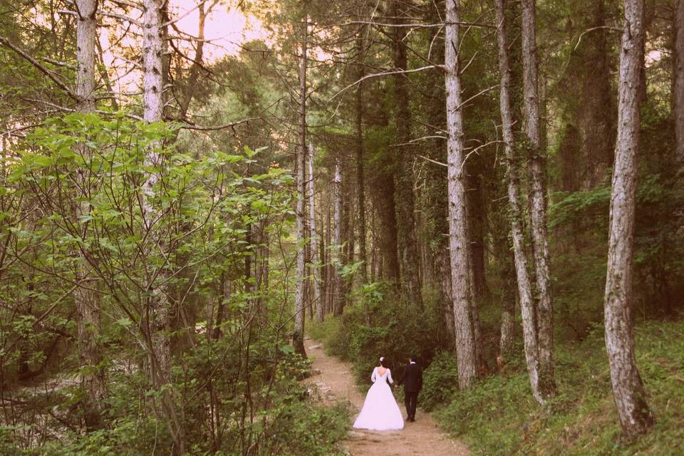 Los novios en el bosque