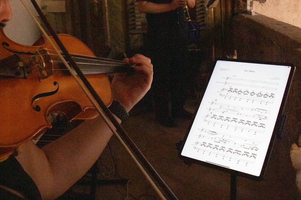 Violín y clarinete