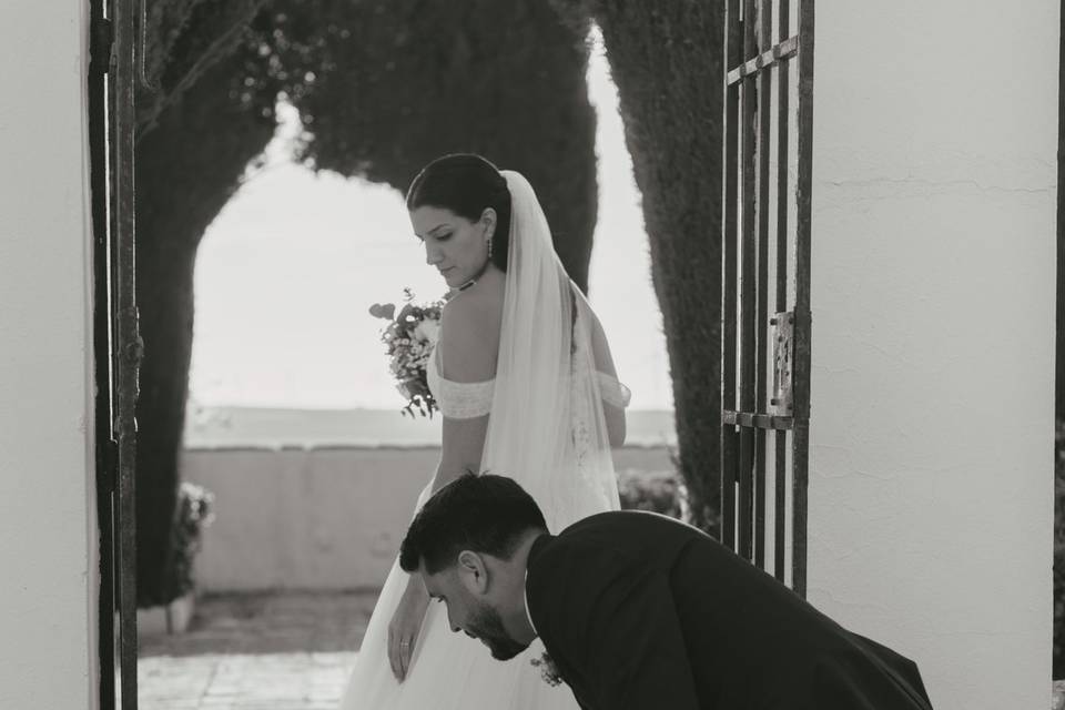 Novios