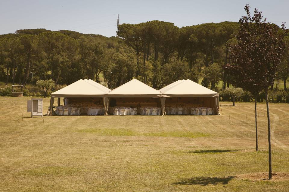 Carpas