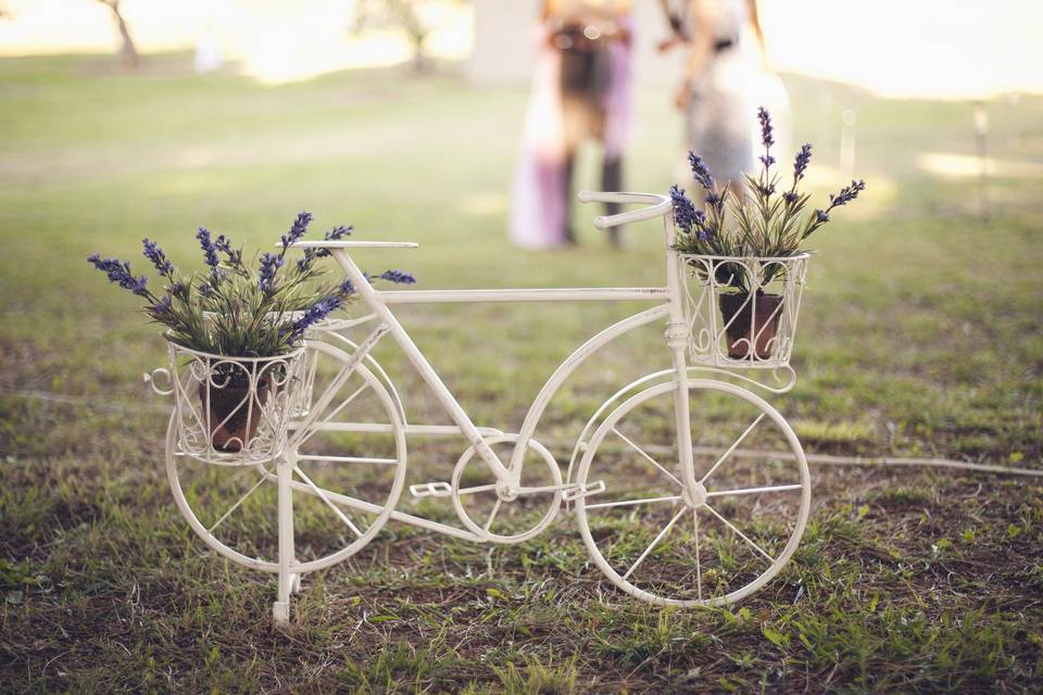 Bici