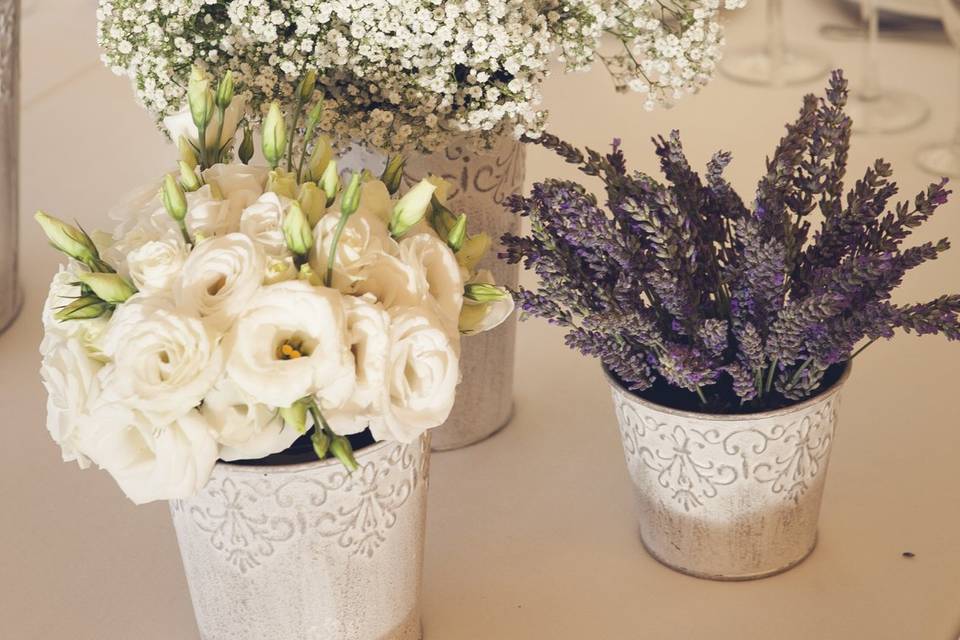 Flores