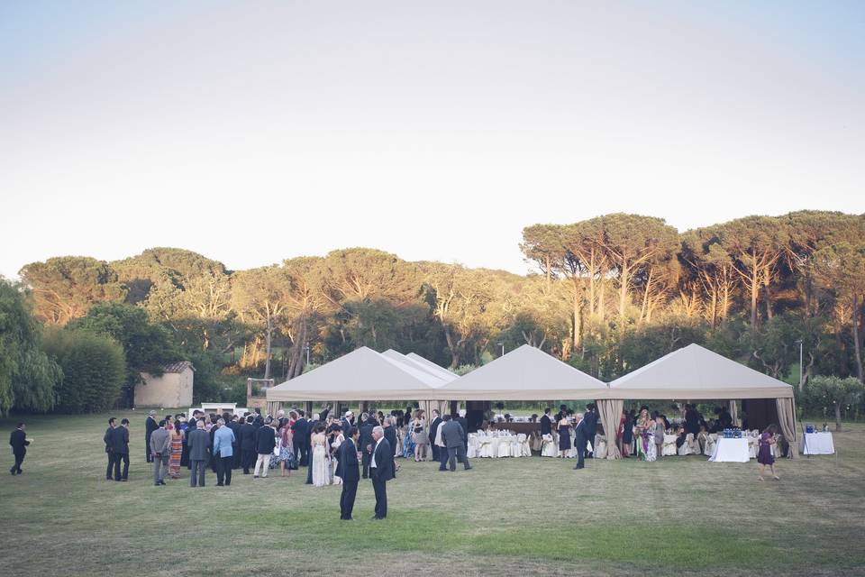 Banquete con carpas