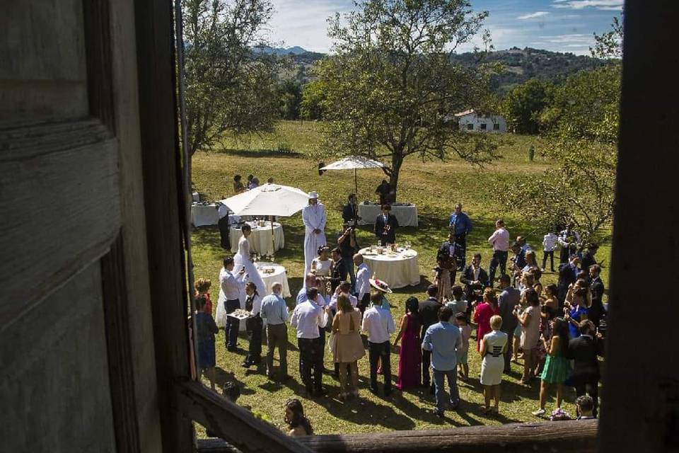 Cóctel de boda exterior