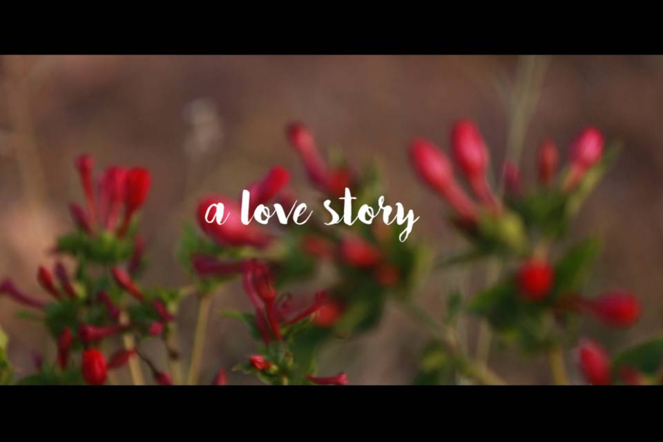 A love story, portada del vídeo