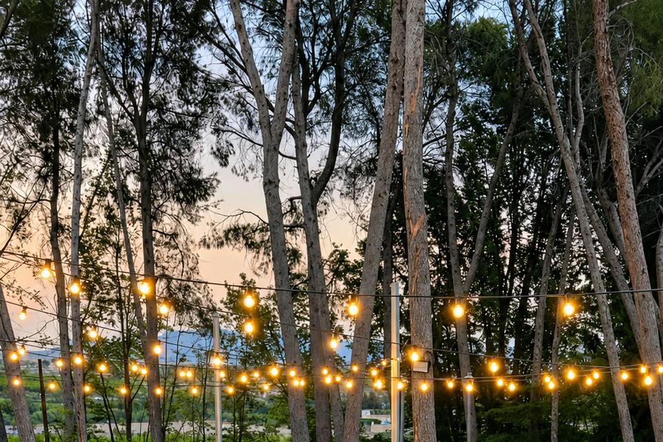 Decoracion jardín