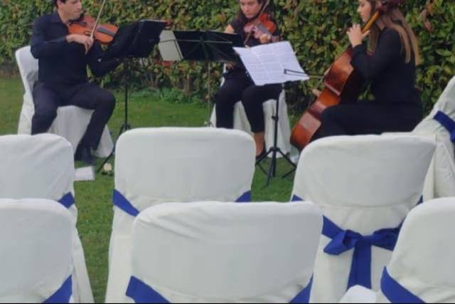 Bodas