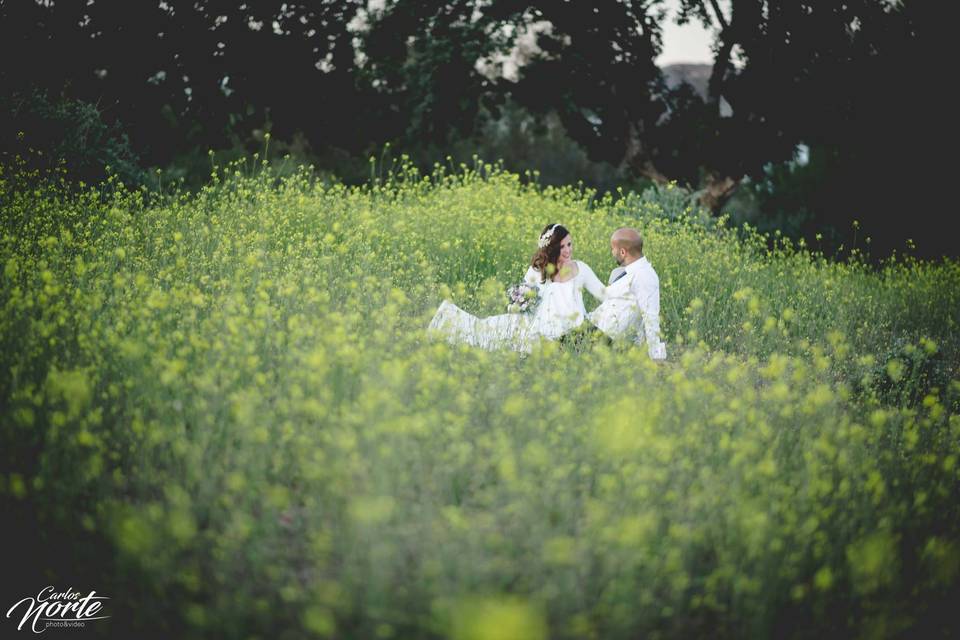 Postboda