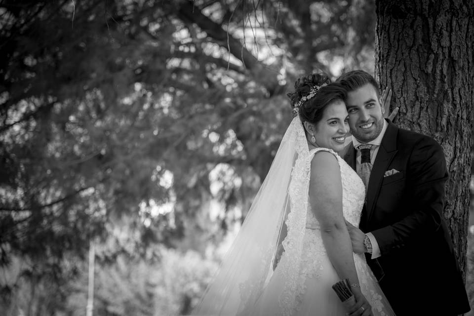 Boda en Mérida