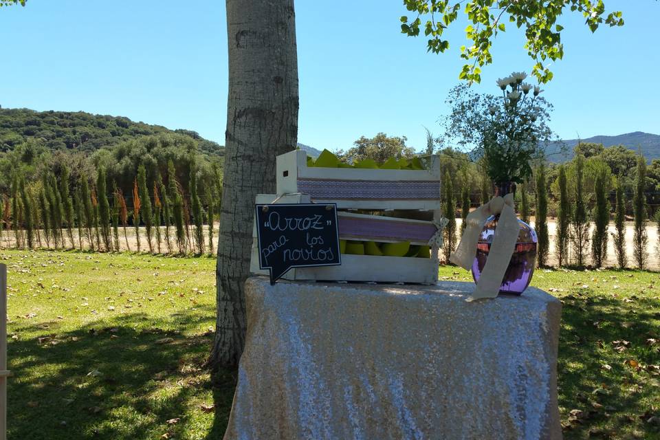 Boda en finca la almoguera