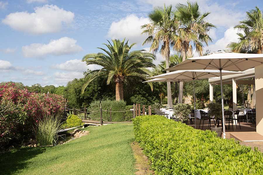 Jardines y cesped