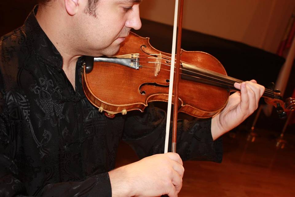 Violín