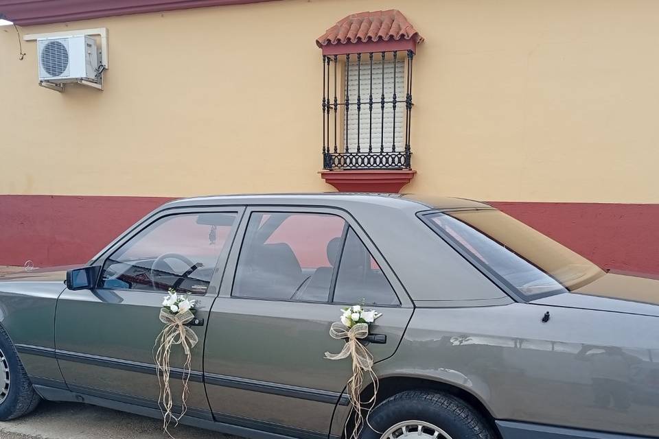 Lateral izquierdo