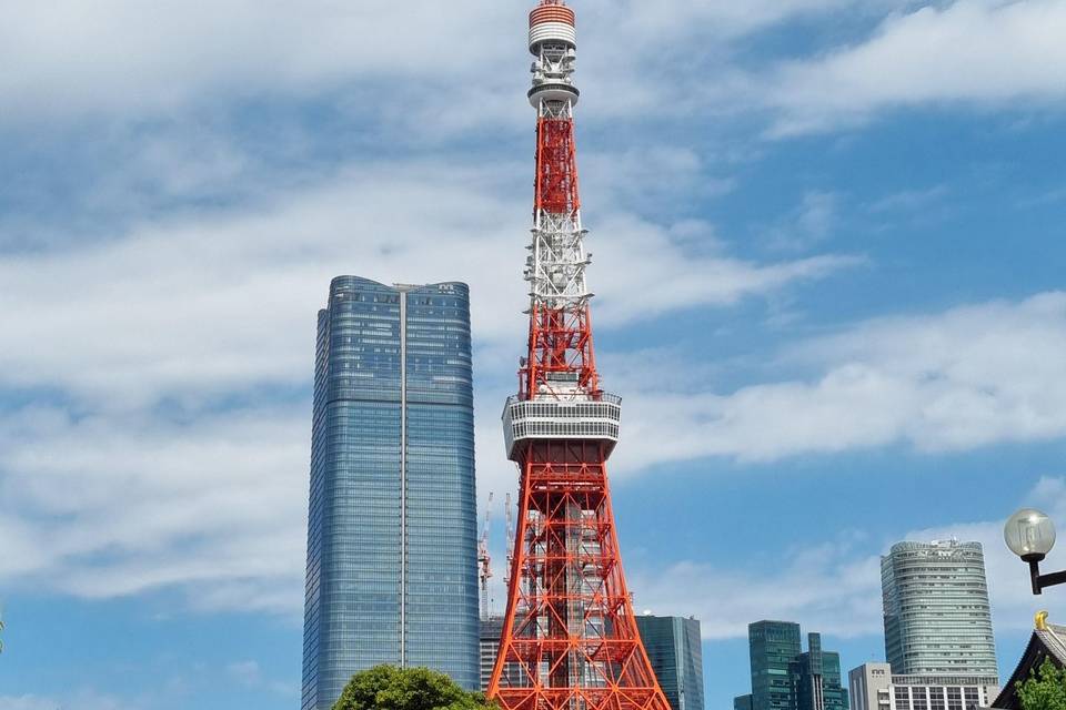 Visita la Torre de Tokio