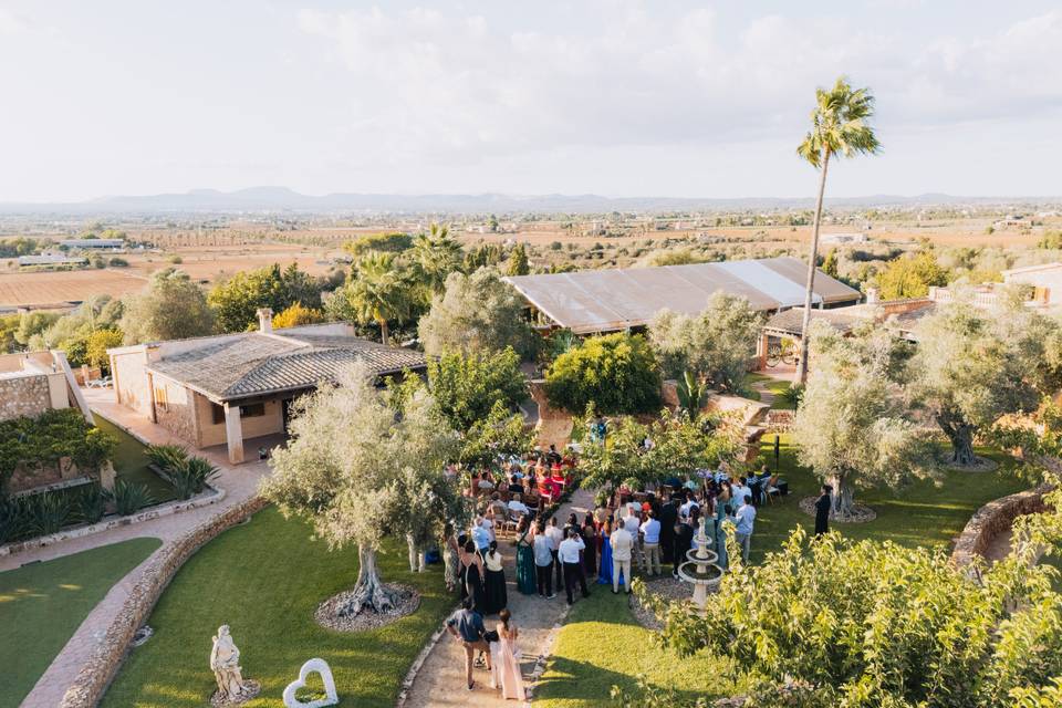MartinsWeddings